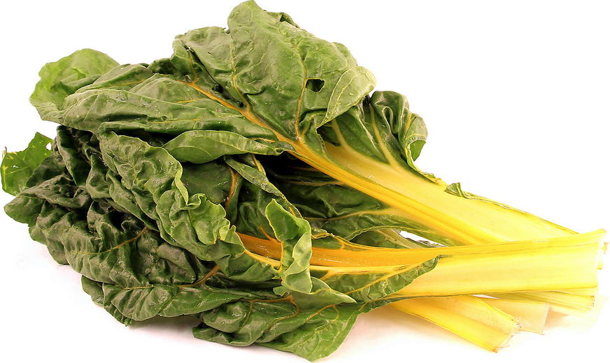 Swiss-Chard-Leafy-Vegetable-In-India